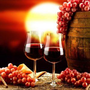 Биодинамическое вино – чуть больше, чем натуральное