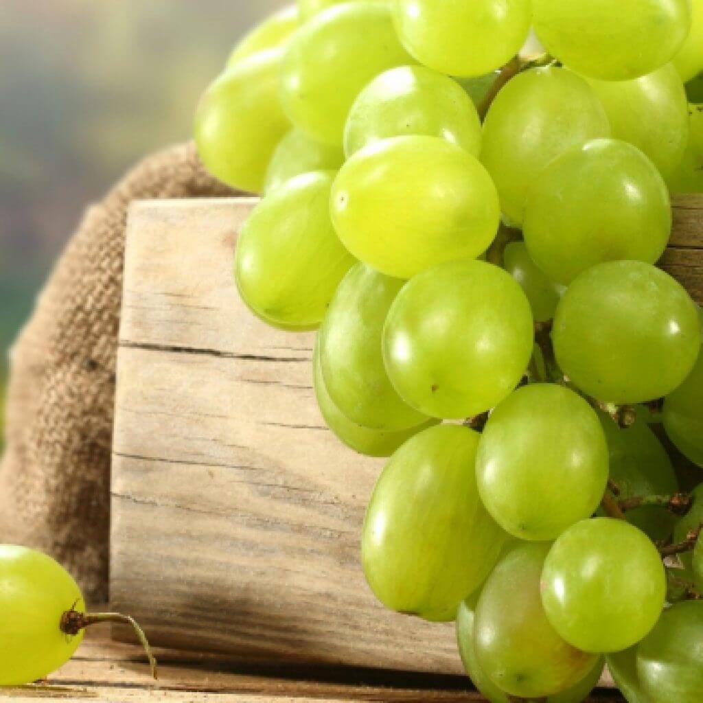 Виноград зеленый польза. Виноград зеленый. Сочный виноград. Светло зеленый виноград. Солнечный виноград.